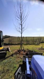 plantation armentieres sur ourcq