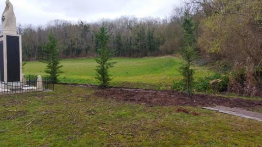 plantation buzancy 