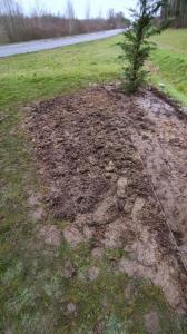 plantation buzancy 