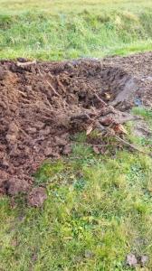 plantation buzancy 